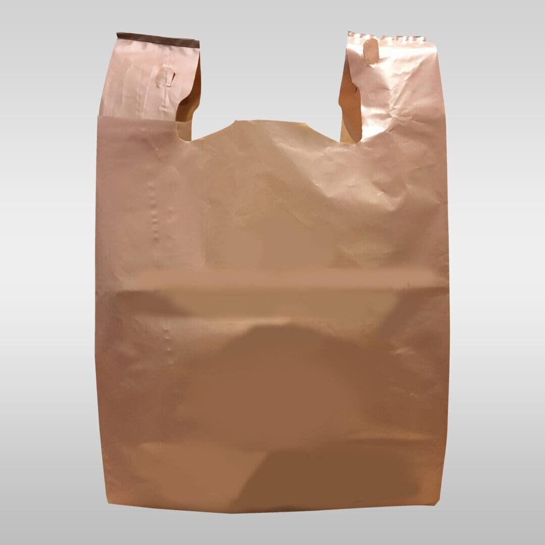 A brown bag is sitting on the ground.